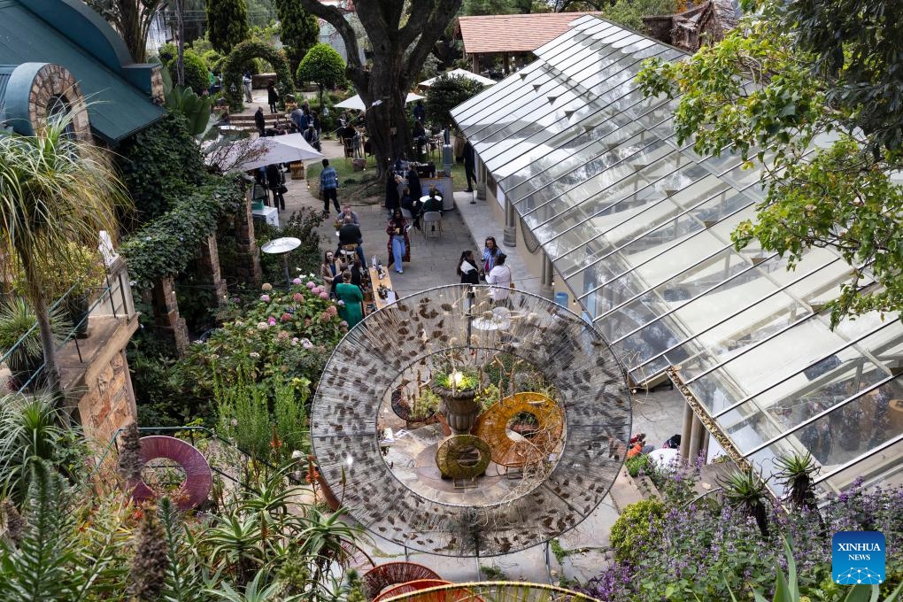 This photo taken on May 22, 2026 shows a scene at the RMB Latitudes Art Fair 2026 held at the Shepstone Gardens in Johannesburg, South Africa. The art fair, scheduled from May 22 to 24, covers a wide range of artistic fields including painting, sculpture, photography, and design. (Photo: Xinhua)