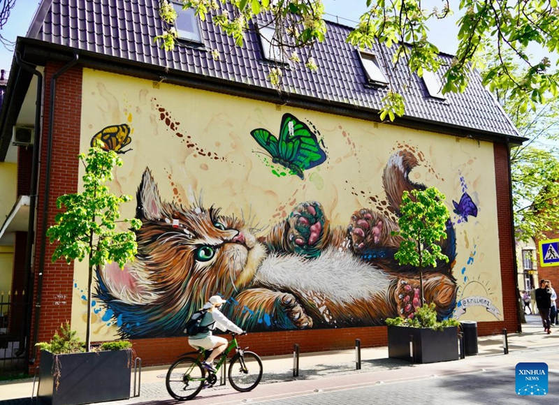 This photo taken on May 24, 2026 shows a cat graffito in Zelenogradsk, Russia. Zelenogradsk is a tourist destination known as the Cat City thanks to ubiquitous cat graffiti, cat-patterned manhole covers, cat-decorated buildings, and cat-themed traffic lights. (Xinhua/Tang Tiefu)