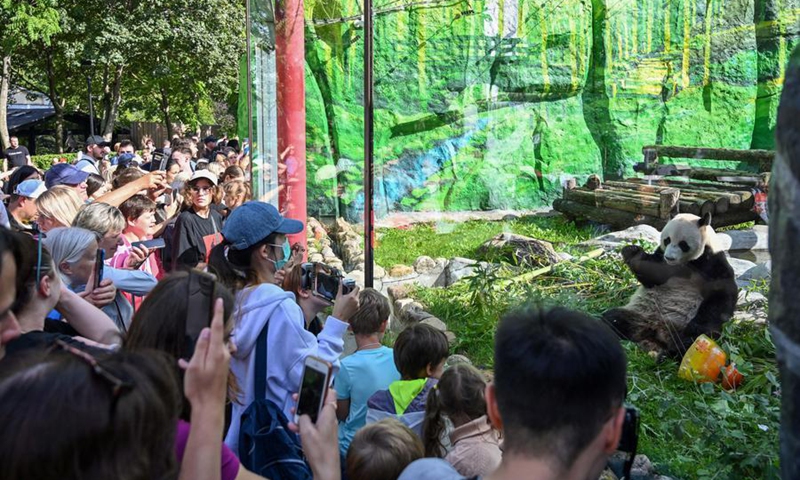 People take photos of Giant panda Ru Yi at the Moscow Zoo in Moscow, Russia, July 31, 2024. Photo: Xinhua