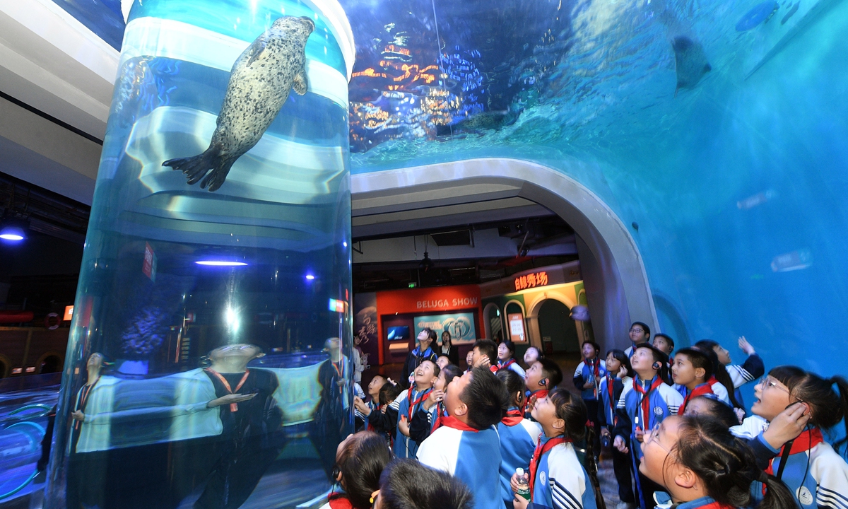 Students watch a spotted seal at Harbin Polarland on May 25, 2026. The launch ceremony for the 2026 Harbin Science and Technology Week took place at the park that day, kickstarting weeklong, city-wide, popular science activities. Photo: VCG