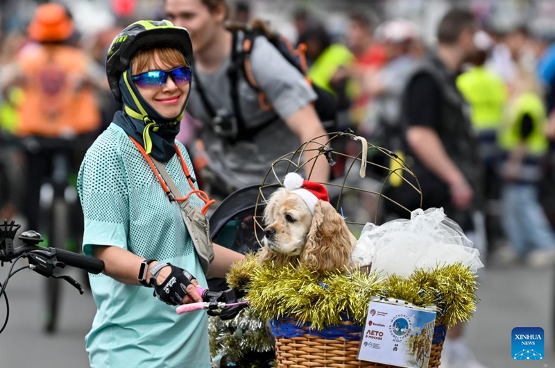 A woman with a dog on her bicycle is pictured during a spring bicycle festival in Moscow, Russia, May 24, 2026. The spring bicycle festival aimed to promote an eco-friendly and healthy lifestyle. (Photo by Alexander Zemlianichenko Jr/Xinhua)