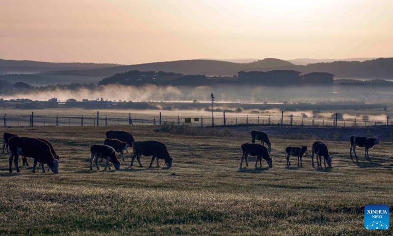 This photo taken on May 24, 2026 shows the scenery of Yudaokou pasture in Chengde, north China's Hebei Province. (Photo by Liu Mancang/Xinhua)
