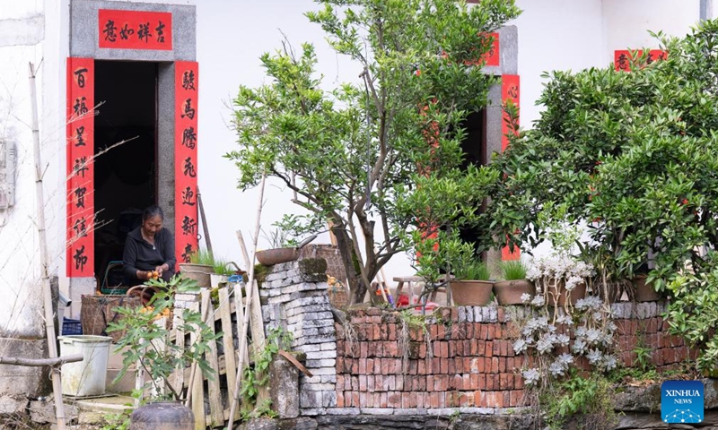 A farmer sorts loquats at home in Miantan Village of Shexian County, Huangshan City, east China's Anhui Province, on May 21, 2026. The cultivation of loquats in Zhangtan, Miantan and Yuetan villages of Shexian County dates back more than 800 years and remains a signature industry that helps local people increase their income.
Loquats grown here are famous for being thin-skinned, fleshy, sweet and juicy. The typical loquat harvest season falls in May when the weather is suitable for picking, sorting and selling loquat fruits. Photo: Xinhua