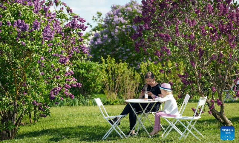 People enjoy their leisure time at a park with blooming lilac flowers in Dobele, Latvia, May 24, 2026. (Photo by Edijs Palens/Xinhua)