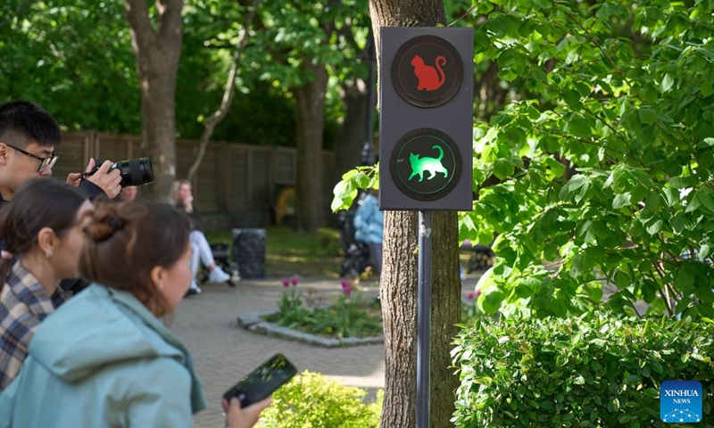 This photo taken on May 24, 2026 shows cat-themed traffic lights in Zelenogradsk, Russia. Zelenogradsk is a tourist destination known as the Cat City thanks to ubiquitous cat graffiti, cat-patterned manhole covers, cat-decorated buildings, and cat-themed traffic lights. (Photo by Guo Feizhou/Xinhua)