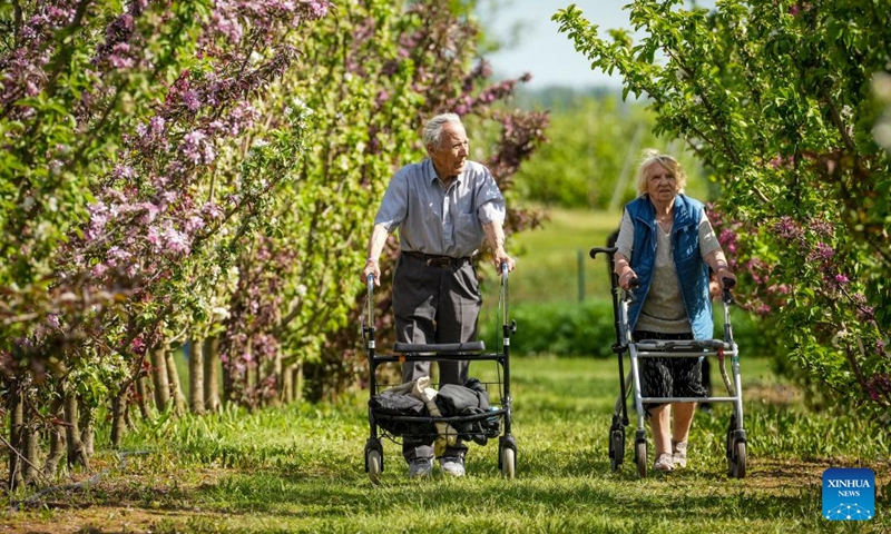 People enjoy their leisure time at a park with blooming lilac flowers in Dobele, Latvia, May 24, 2026. (Photo by Edijs Palens/Xinhua)