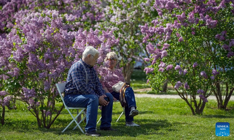 People enjoy their leisure time at a park with blooming lilac flowers in Dobele, Latvia, May 24, 2026. (Photo by Edijs Palens/Xinhua)