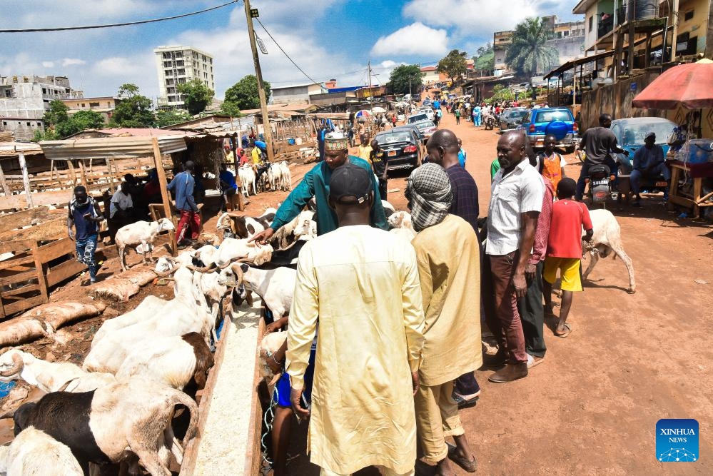 People visit a livestock market ahead of Eid al-Adha in Yaounde, capital of Cameroon, May 26, 2026. (Photo: Xinhua)