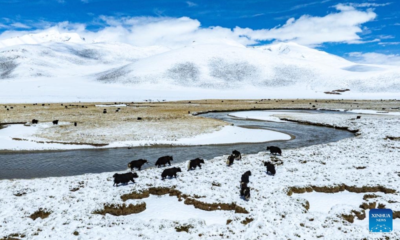 A drone photo taken on May 27, 2026 shows snow scenery of Qiangtang grassland in Nagqu City, southwest China's Xizang Autonomous Region. (Photo: Xinhua)