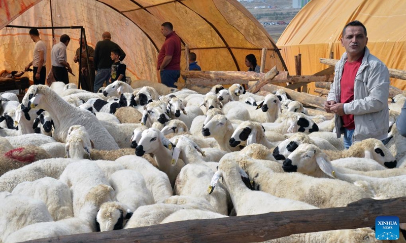 People buy sheep to celebrate Eid al-Adha at a livestock market outside Ankara, Türkiye, on May 27, 2026. Eid al-Adha traditionally involves the sacrifice of livestock and the distribution of meat to relatives, neighbors, and those in need. The Muslim holiday Eid al-Adha will be celebrated in Türkiye between May 27 and 30. (Photo: Xinhua)