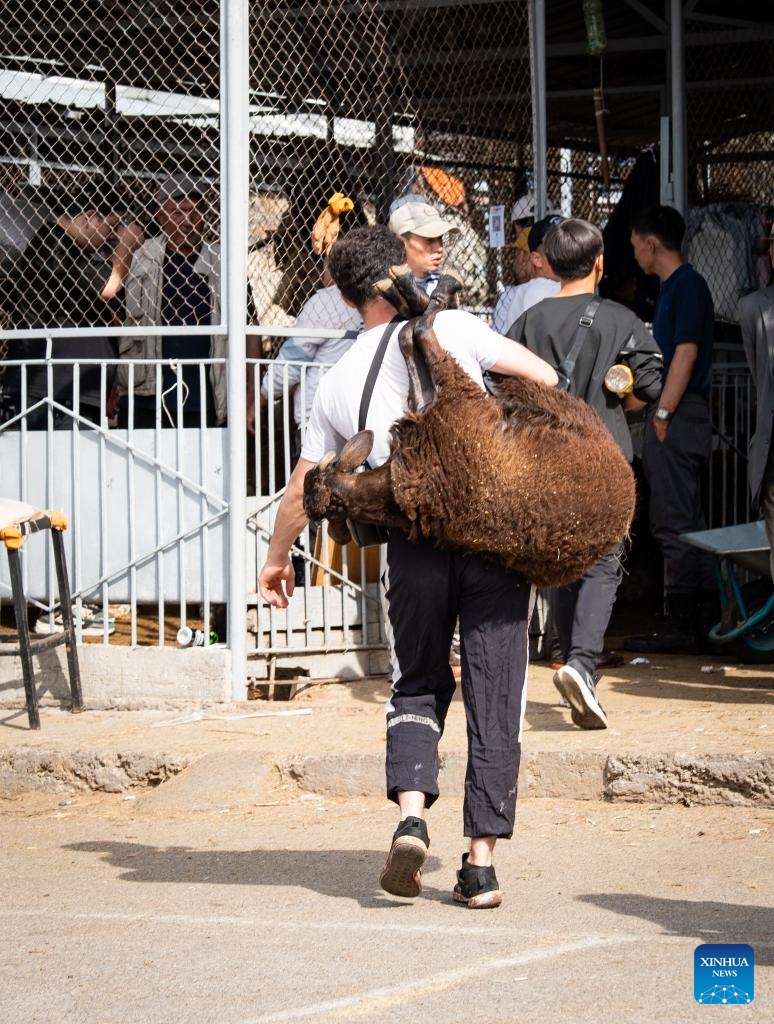 People visit a livestock market for Eid al-Adha celebration in Almaty, Kazakhstan, May 27, 2026. (Photo: Xinhua)