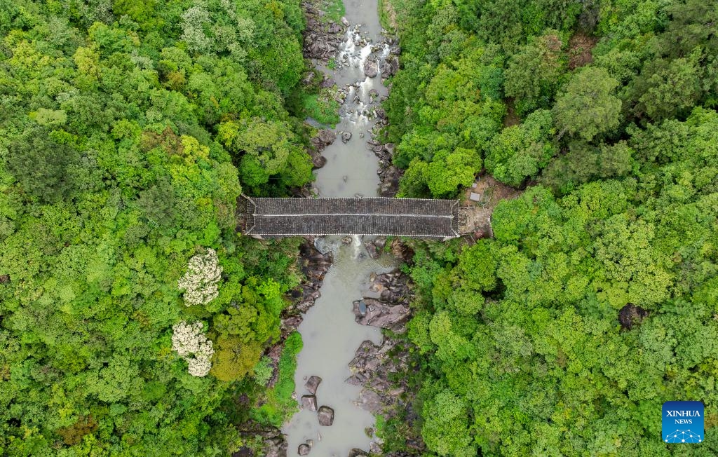 An aerial drone photo taken on May 14, 2026 shows Baixiang Bridge in Pingnan County of Ningde City, southeast China's Fujian Province. The wooden-roofed arch bridge is an ancient and unique structure characterized by a corridor built atop a bridge spanning a river. It reflects the craftsmanship of ancient builders who joined wood into an arch without using nails or metal parts. (Photo: Xinhua)