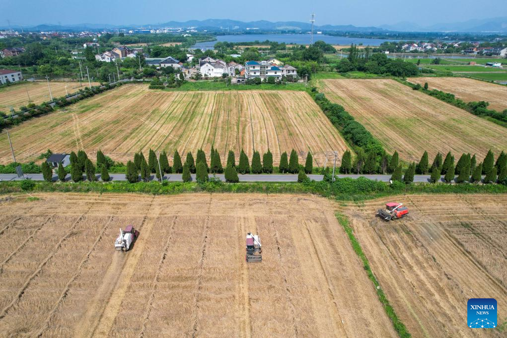 An aerial drone photo taken on May 28, 2026 shows agricultural machines harvesting wheat at Yantang Village in Huzhou City, east China's Zhejiang Province. (Photo by Yao Haixiang/Xinhua)