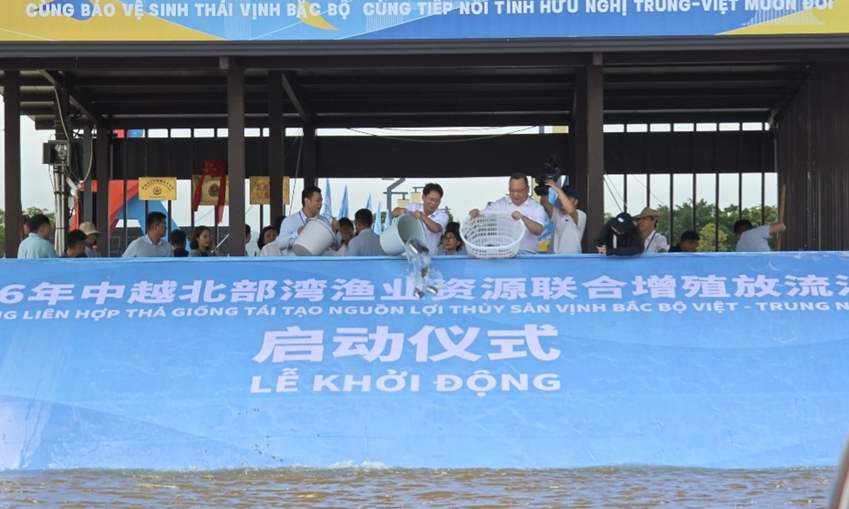 China and Vietnam jointly released 270 million fish fry and broodstock into the Beibu Gulf in Dongxing, South China's Guangxi Zhuang Autonomous Region, on May 19, 2026. Photo: Ding Yazhi/GT