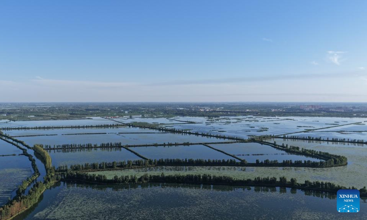 An aerial drone photo taken on May 28, 2026 shows the early summer scenery at Yannan dike of Baiyangdian Lake in the Xiong'an New Area in north China's Hebei Province. (Xinhua/Fan Shihui)