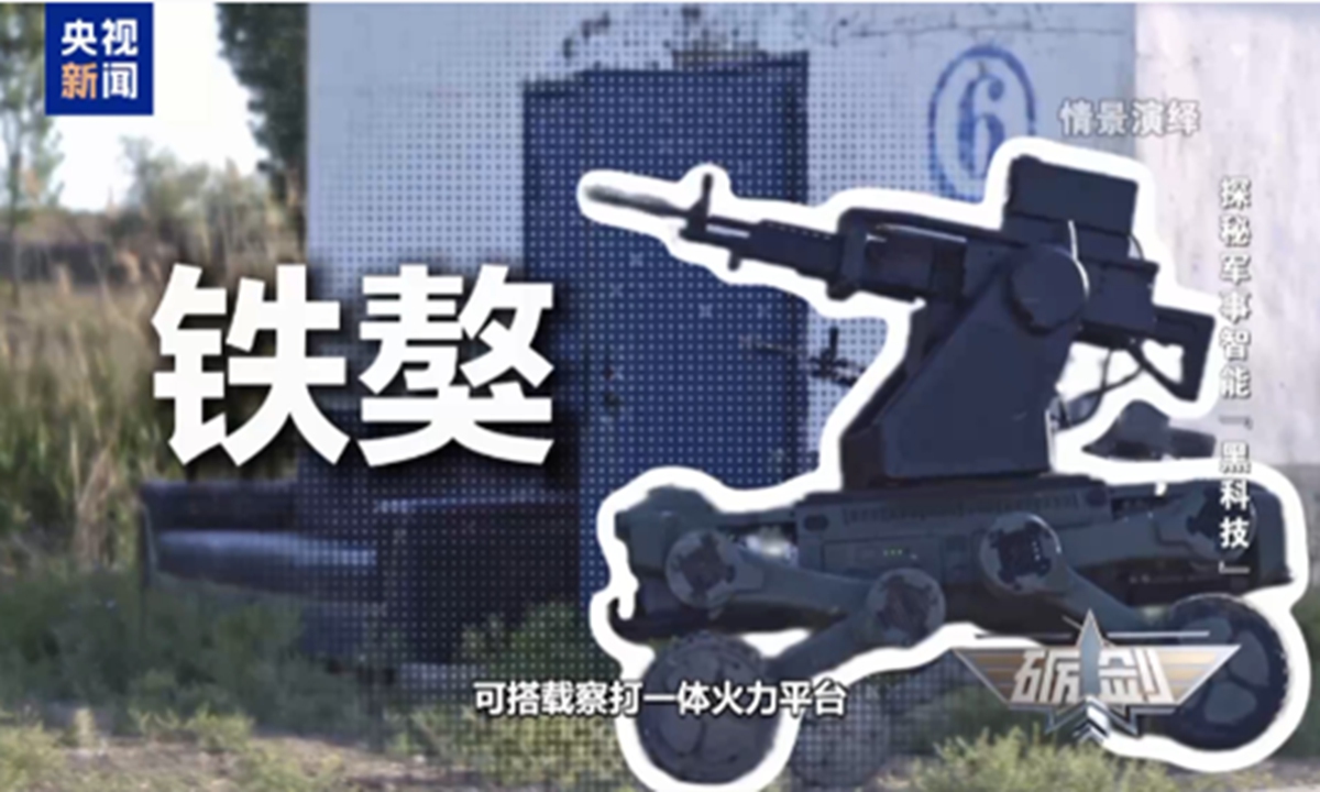 Photo: Screenshot of the larger-sized robotic mastiff 