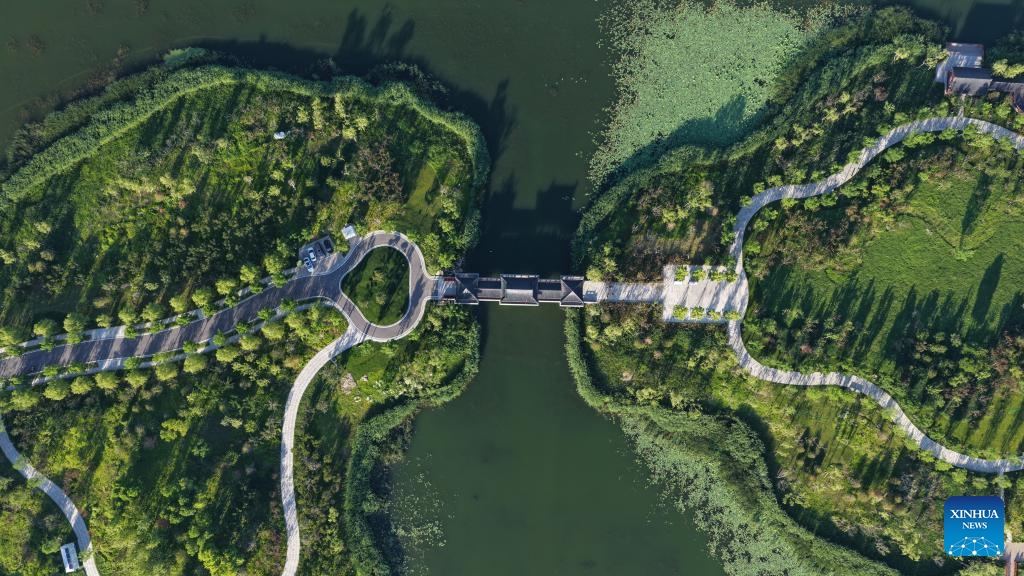 An aerial drone photo taken on May 28, 2026 shows the early summer scenery at Yannan dike of Baiyangdian Lake in the Xiong'an New Area in north China's Hebei Province. (Xinhua/Su Kaiyang)