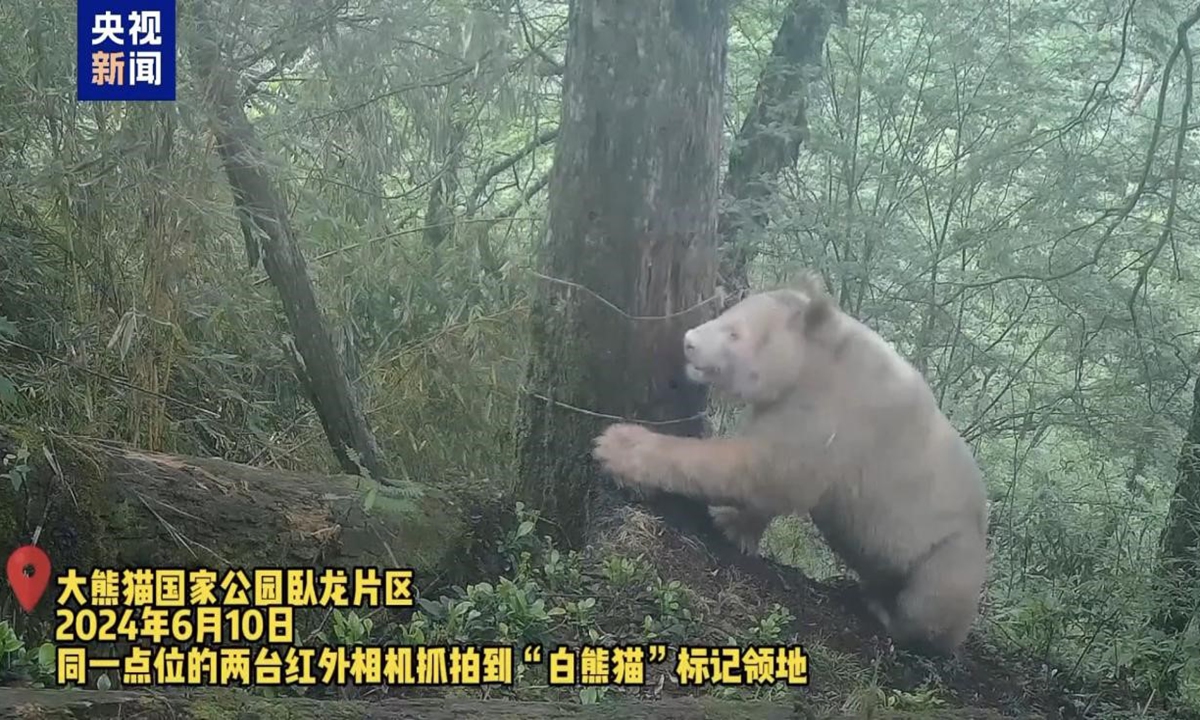 File Photo: Screenshot from CCTV News