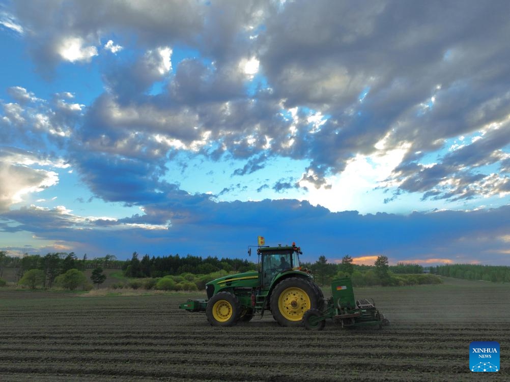 A drone photo taken on May 28, 2026 shows an agricultural vehicle working in a soybean field of Jianshan Farm Co., Ltd. under Beidahuang Group in northeast China's Heilongjiang Province. (Photo: Xinhua)