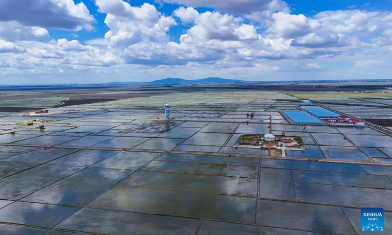 An aerial drone photo taken on May 29, 2026 shows a view of a paddy field park in Fujin, northeast China's Heilongjiang Province. (Photo: Xinhua)