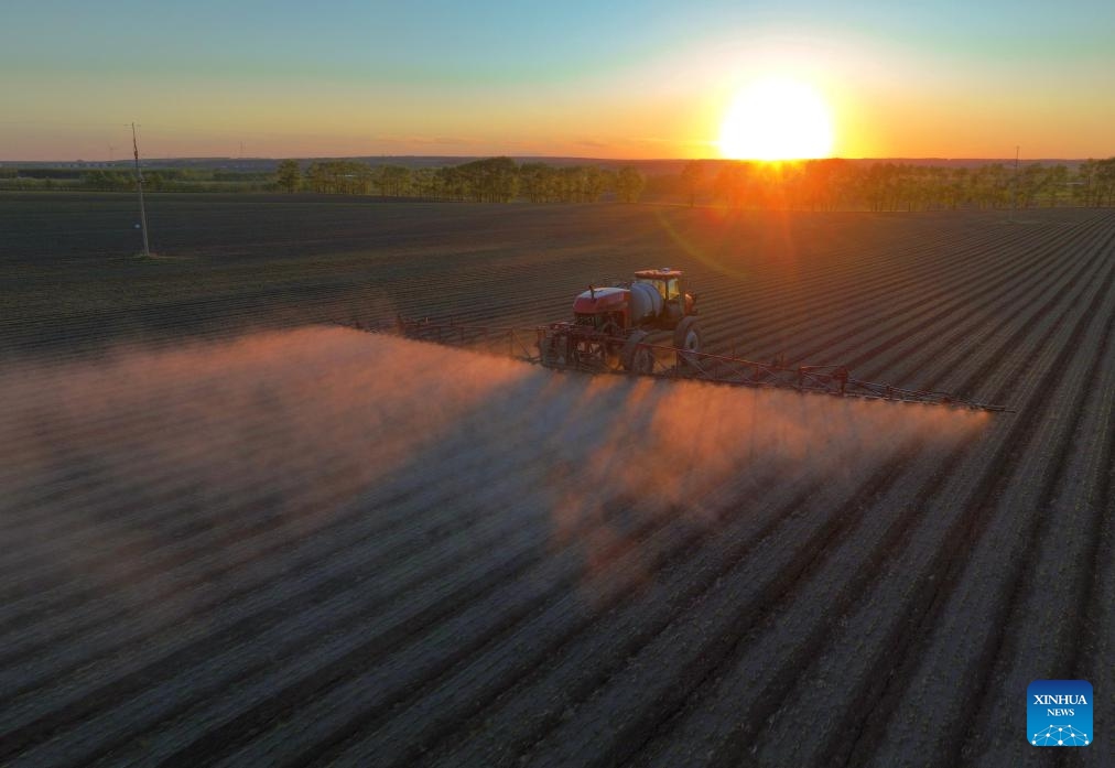 A drone photo taken on May 29, 2026 shows an agricultural vehicle working in a soybean field of an agricultural products company under Beidahuang Group in northeast China's Heilongjiang Province. (Photo: Xinhua)