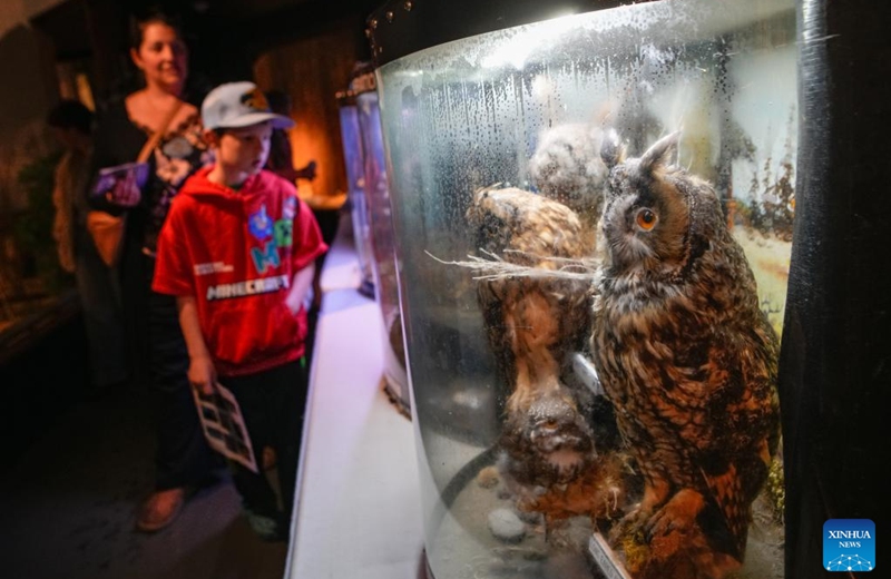 Visitors view raptor specimens during an open house event at the Orphaned Wildlife Rehabilitation Society in Delta, British Columbia, Canada, on May 30, 2026. The event held on Saturday offered the public an opportunity to learn about the rehabilitation, care, and conservation of injured and orphaned birds of prey. (Photo by Liang Sen/Xinhua)