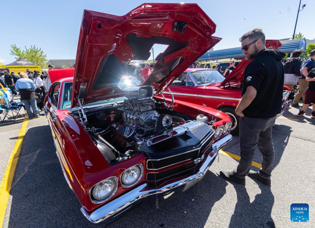 A man looks at a custom car at the 2026 Hot Wheels Legends tour in Oakville, the Greater Toronto Area, Canada, on May 30, 2026. The Toronto stop of the yearly global custom car competition was held here on Saturday. (Photo by Zou Zheng/Xinhua)