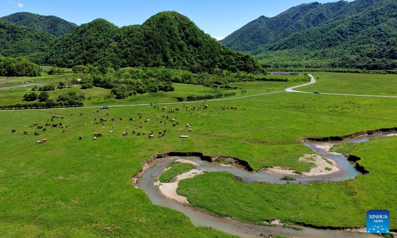 A drone photo taken on May 30, 2026 shows the scenery of the Dajiu Lake Wetland in Shennongjia, central China's Hubei Province. (Photo by Song Wen/Xinhua)