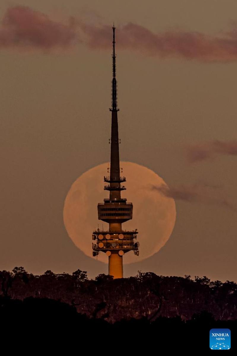 The full moon, known as the Blue Moon, is seen behind the Telstra Tower on the Black Mountain in Canberra, Australia, on May 31, 2026. (Xinhua/Chu Chen)