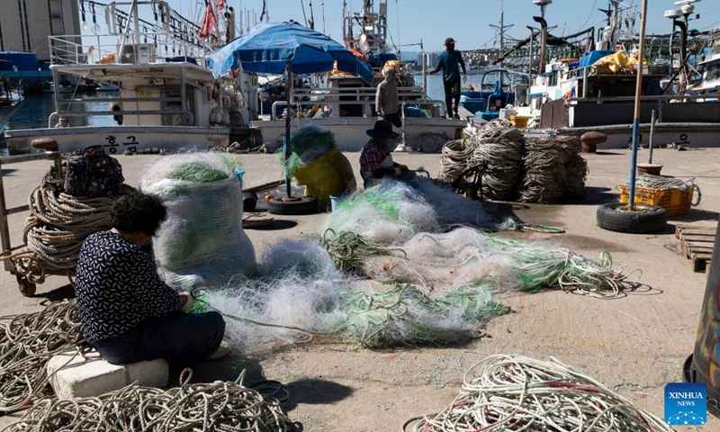 Fishermen trim nets at Mukho port in Donghae city, Gangwon-do province, South Korea, May 31, 2026. (Photo by Jun Hyosang/Xinhua)