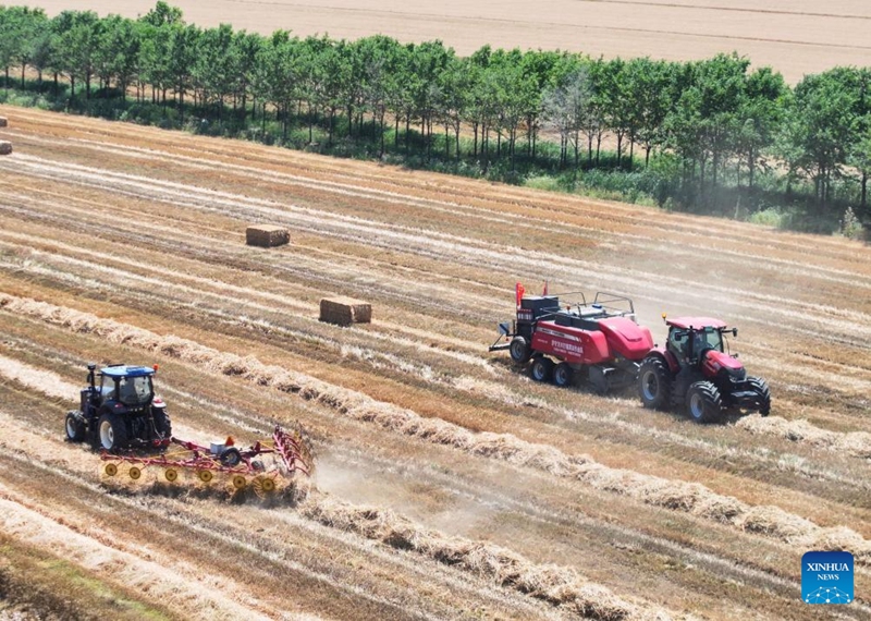 This aerial drone photo taken on May 31, 2026 shows agricultural machineries in a wheat field in Xuyi County, east China's Jiangsu Province. (Xinhua/Ji Chunpeng)