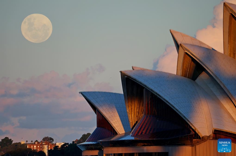 The full moon, known as the Blue Moon, is seen over Sydney Opera House in Sydney, Australia, on May 31, 2026. (Xinhua/Gong Bing)