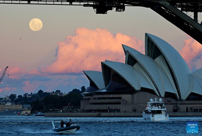 The full moon, known as the Blue Moon, is seen over Sydney Opera House in Sydney, Australia, on May 31, 2026. (Xinhua/Gong Bing)