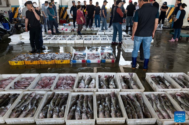 Fishermen auction at a seafood market at Mukho port in Donghae city, Gangwon-do province, South Korea, May 31, 2026. (Photo by Jun Hyosang/Xinhua)