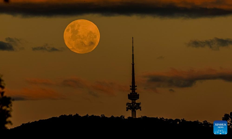 The full moon, known as the Blue Moon, is seen behind the Telstra Tower on the Black Mountain in Canberra, Australia, on May 31, 2026. (Xinhua/Chu Chen)