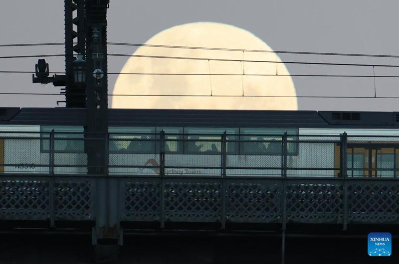 The full moon, known as the Blue Moon, is seen behind a running train on the Sydney Harbour Bridge in Sydney, Australia, on May 31, 2026. (Xinhua/Gong Bing)