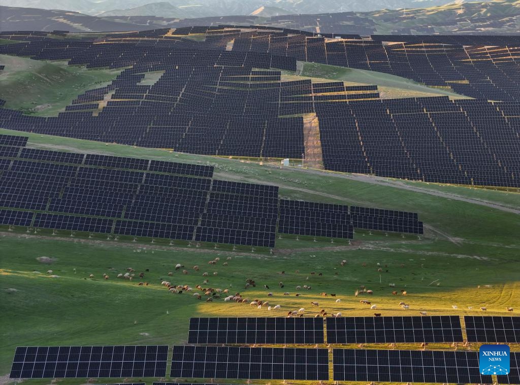 An aerial drone photo taken on April 29, 2026 shows sheep grazing among photovoltaic panels at a 3.2-million-kilowatt solar power base in Nilka County, northwest China's Xinjiang Uygur Autonomous Region. (Photo: Xinhua)