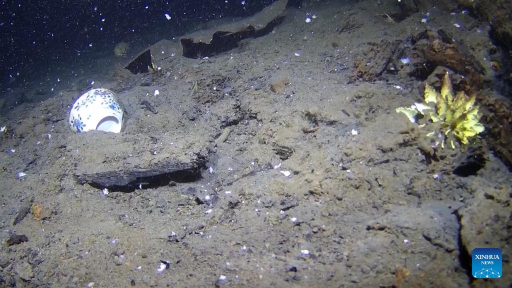 This photo taken on Jan. 15, 2026 shows Chinese porcelain in a shipwreck in the Skagerrak Strait off southern Norway. An 18th-century shipwreck carrying the best-preserved cargo of Chinese porcelain ever found in Northern Europe has been discovered in Norwegian waters, the Norwegian Directorate for Cultural Heritage said Monday. (Photo: Xinhua)