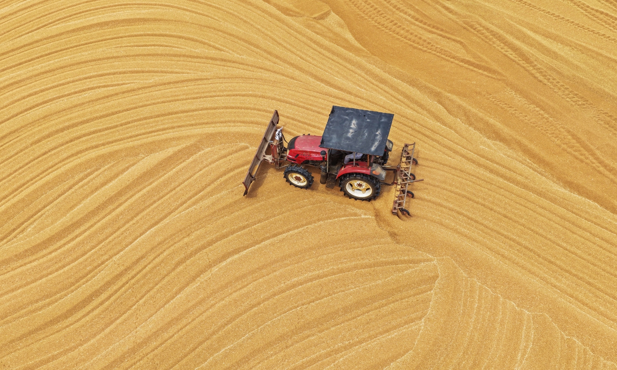A farm machinery operator drives a tractor to turn wheat over in the sun at a farm in Lianyungang, East China's Jiangsu Province on June 3, 2026. According to the Ministry of Agriculture and Rural Affairs, as of June 2, China had completed 35.09 percent of the nationwide harvest. Photo: VCG