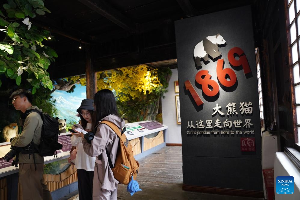 Journalists tour a museum about the origin of giant pandas in Baoxing County of Ya'an, southwest China's Sichuan Province, on June 2, 2026. A media tour of national parks was launched in Baoxing County on Tuesday. Over 140 people participated in the opening ceremony. (Photo: Xinhua)