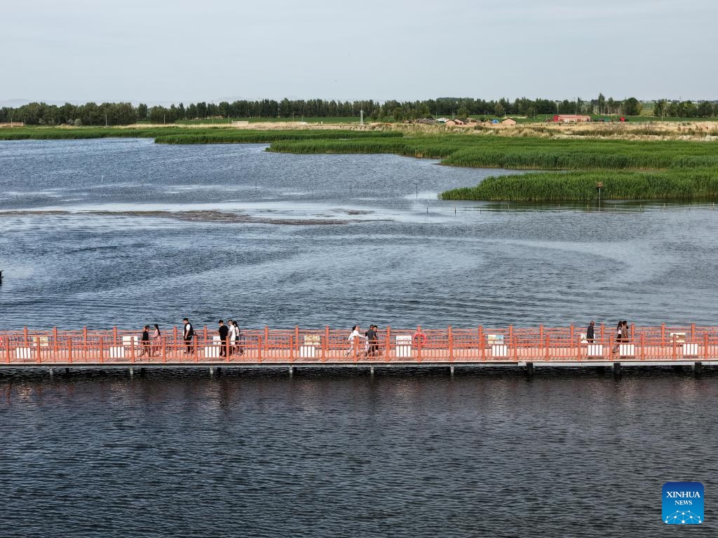 A drone photo taken on May 31, 2026 shows tourists visiting Ulan Suhai Lake in Urad Front Banner of Bayannur, north China's Inner Mongolia Autonomous Region. The Ulan Suhai Lake is the largest freshwater lake in the Yellow River basin. In recent years, local authorities have taken multiple measures to improve the ecology of the lake area. By making good use of the water replenishment from the Yellow River while strictly controlling sources of pollution, the lake's ecology has been improving year by year. (Photo: Xinhua)