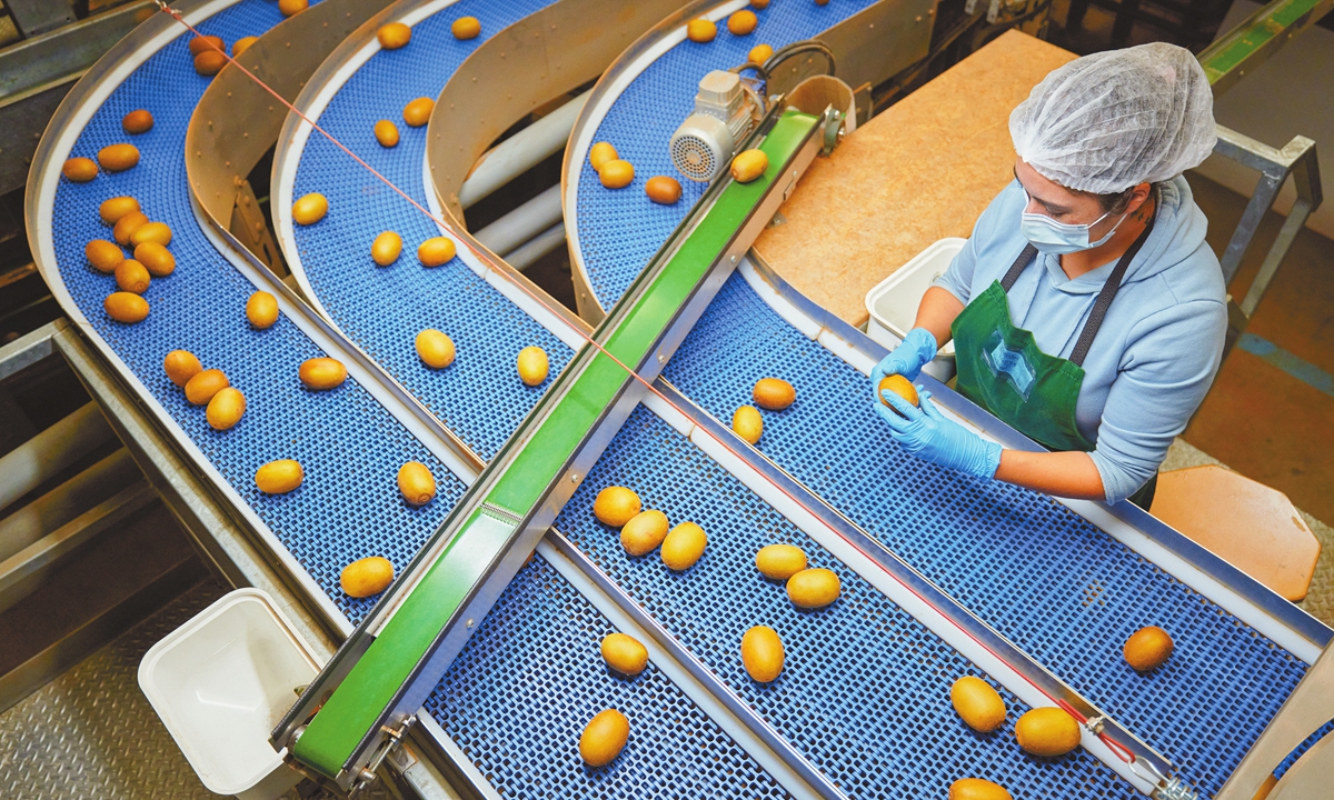 A packhouse for Zespri kiwifruit Photo: Zespri