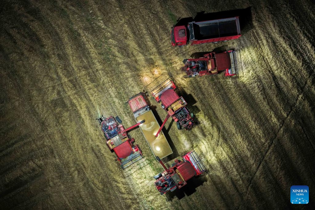 An aerial drone photo taken on June 2, 2026 shows agricultural machines loading harvested wheat onto a truck in a field illuminated by a high-power tethered lighting drone in Feidong County, Hefei City, east China's Anhui Province. The wheat harvest season recently started in various places in Anhui Province. On Tuesday night, the Anhui Hefei Power Supply Company under the State Grid dispatched a high-power tethered lighting drone to illuminate the fields of a farm, helping agricultural machinery operators work at night. (Photo: Xinhua)