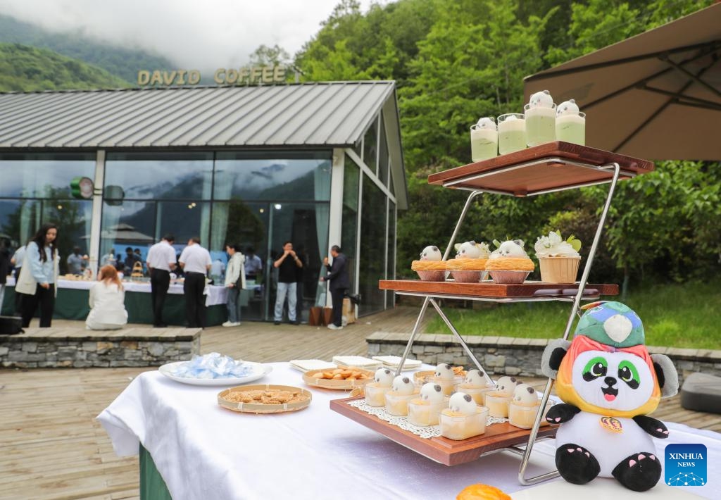 Sweets are displayed at a cafe of the giant panda origin camp in Dengchigou Village of Baoxing County of Ya'an City, southwest China's Sichuan Province, June 2, 2026. The giant panda origin camp, which is composed of three zones offering cultural experience, science popularization and camping, has served as an important base for the promotion and education of giant panda eco-culture. (Photo: Xinhua)