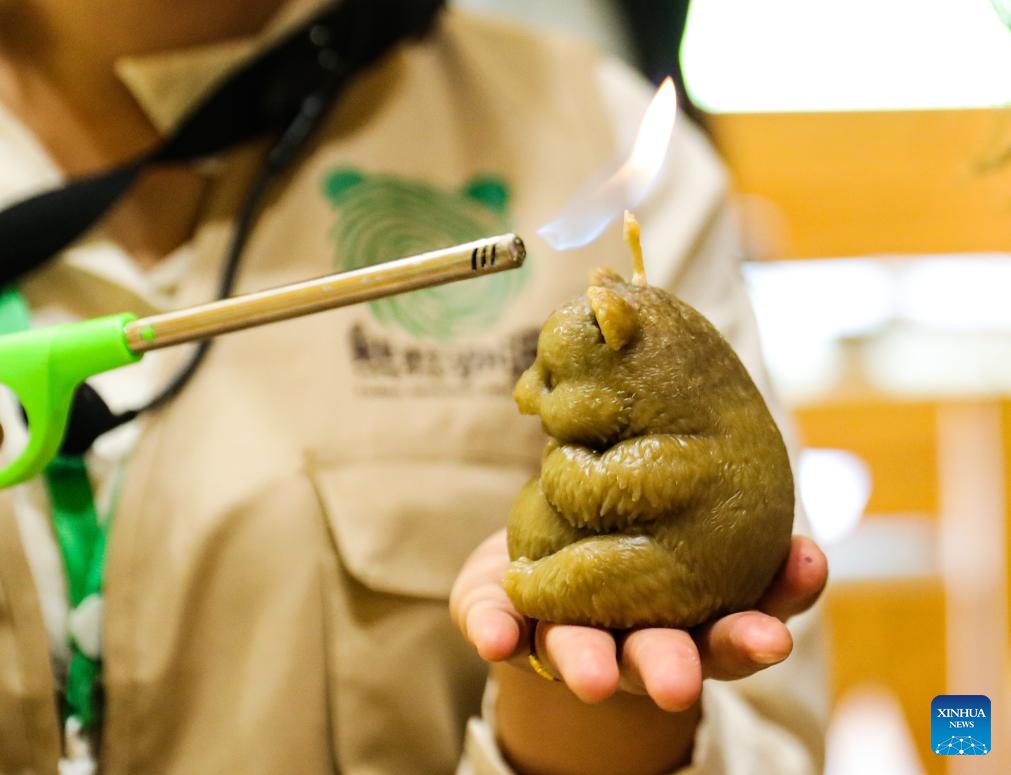 A staff shows a scented candle with giant panda's feces at the giant panda origin camp in Dengchigou Village of Baoxing County of Ya'an City, southwest China's Sichuan Province, June 2, 2026. The giant panda origin camp, which is composed of three zones offering cultural experience, science popularization and camping, has served as an important base for the promotion and education of giant panda eco-culture. (Photo: Xinhua)