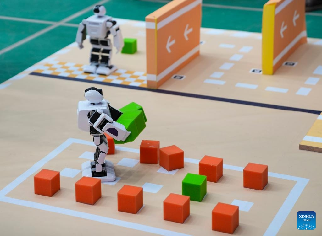 Robots are pictured during an offline contest of the Xizang division of the 28th China Robot and Artificial Intelligence Competition (CRAIC) at Xizang University in Lhasa, southwest China's Xizang Autonomous Region, June 3, 2026. A total of 81 teams took part in the Xizang division of the 28th CRAIC, including 19 teams from four universities enrolled for the offline contests. (Photo: Xinhua)