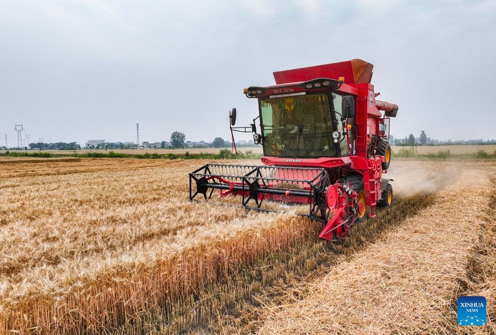 A drone photo taken on June 3, 2026 shows a harvester operating at a smart farm in Zhengwu Town of Fuyang City, east China's Anhui Province. The wheat harvest season recently started in various places across Anhui. At a smart farm in Fuyang City, a range of smart devices have been deployed to assist in crop monitoring and harvesting operations. (Photo: Xinhua)