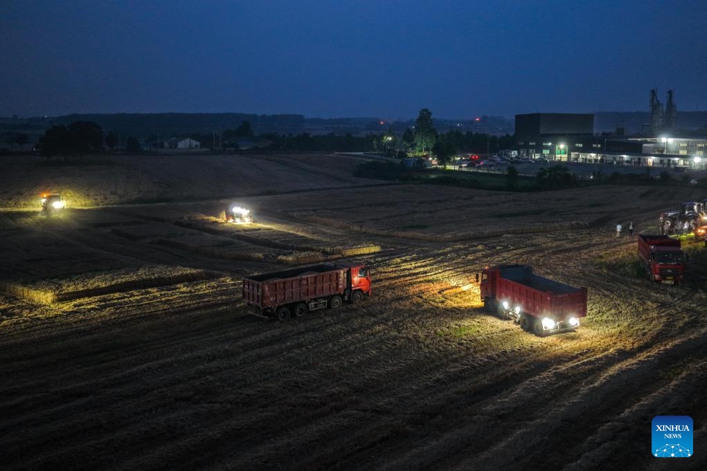 A drone photo taken on June 2, 2026 shows agricultural machines harvesting wheat in a field illuminated by a high-power tethered lighting drone in Feidong County, Hefei City, east China's Anhui Province. The wheat harvest season recently started in various places in Anhui Province. On Tuesday night, the Anhui Hefei Power Supply Company under the State Grid dispatched a high-power tethered lighting drone to illuminate the fields of a farm, helping agricultural machinery operators work at night. (Photo: Xinhua)