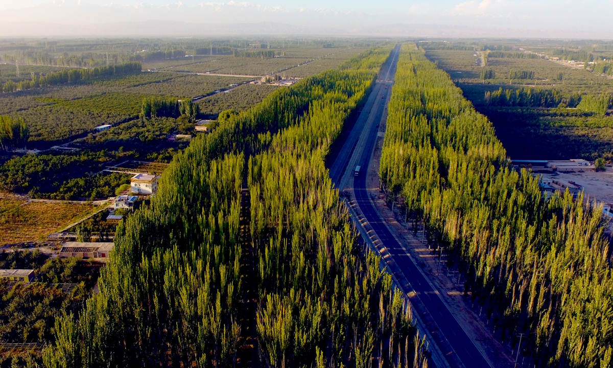 An aerial view of the  afforest project in Kekeya, the Wensu County in Aksu Prefecture, Northwest China's Xinjiang Uygur Autonomous Region Photo: VCG
