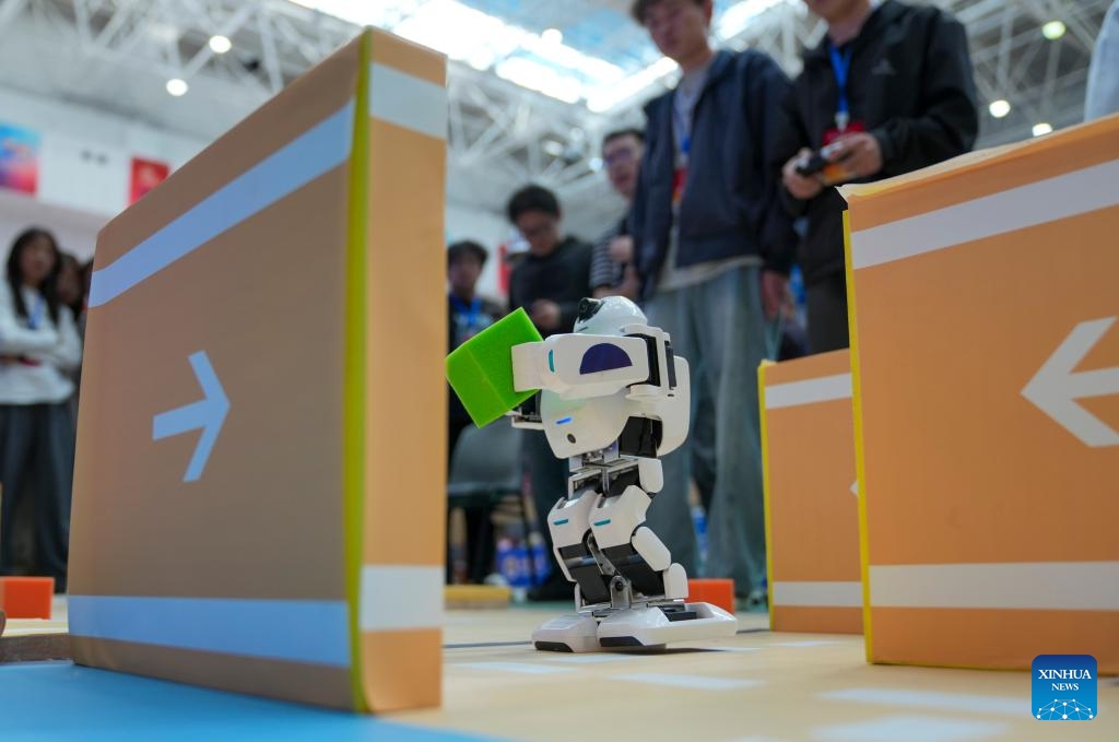 Contestants are in action during an offline contest of the Xizang division of the 28th China Robot and Artificial Intelligence Competition (CRAIC) at Xizang University in Lhasa, southwest China's Xizang Autonomous Region, June 3, 2026. A total of 81 teams took part in the Xizang division of the 28th CRAIC, including 19 teams from four universities enrolled for the offline contests. (Photo: Xinhua)
